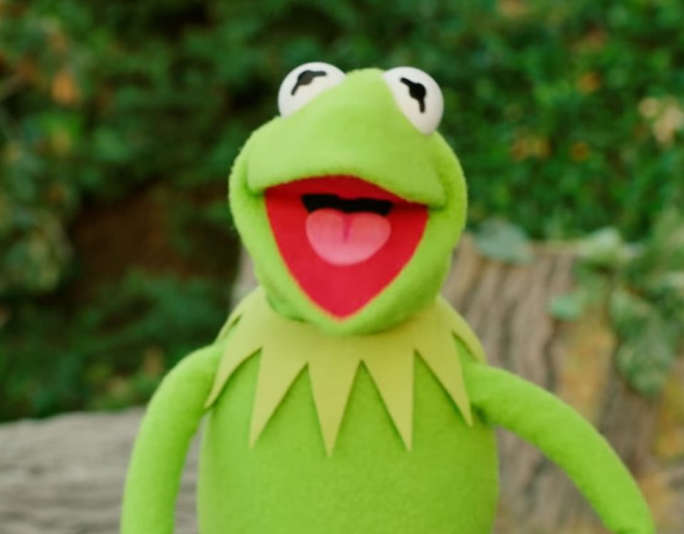 Kermit The Frog | Dear Earth